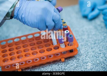 Medical technician handling blood test tubes and vials in clinical laboratory with gloved hands Stock Photo