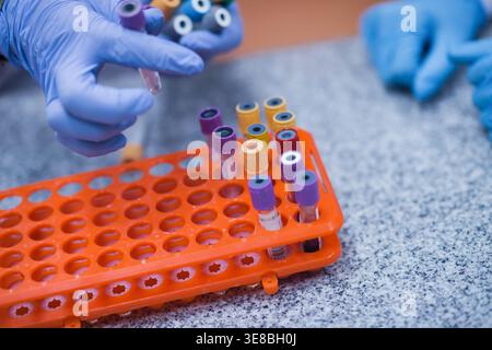 Middle Eastern medical team handling blood test tubes in clinical laboratory with gloved hands Stock Photo