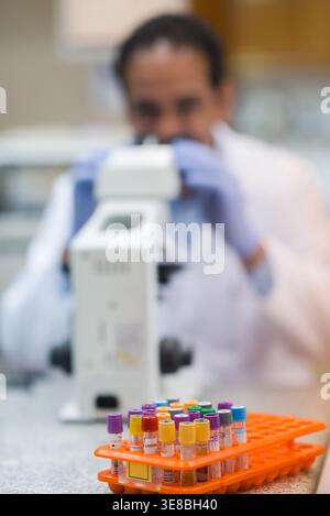 Young Middle Eastern medical technician and doctor working with blood samples in a clinical laboratory setting Stock Photo