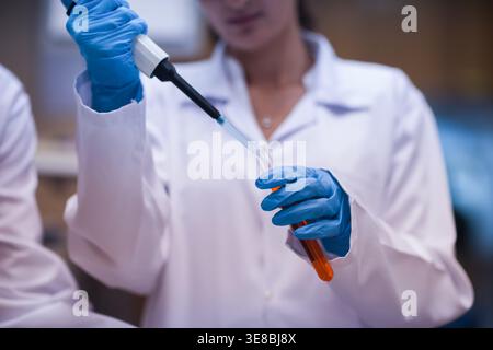 Young doctors and medical technicians performing blood testing and pipetting in a clinical laboratory Stock Photo