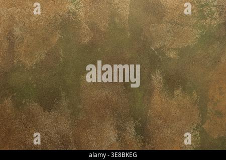 A textured surface with worn coloring appears in the frame. Ochre, green, tan, and brown shades mix to create an abstract design with a rugged feel Stock Photo