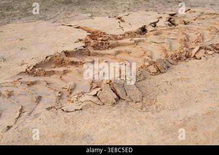 Deep tire tread texture imprinted on dry, crusty soil. Detailed tracks from heavy machinery or industrial vehicles at a construction site, showcasing Stock Photo