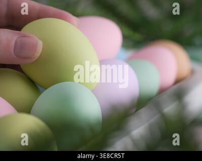 Closeup macro colorful pastel Easter eggs with female hand in white wood farmhouse rustic bowl tray. Spring holiday pretty decor background Stock Photo