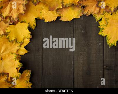 Gold yellow fall maple leaves on black rustic wood plank table. Autumn Halloween seasonal overhead flatlay Stock Photo