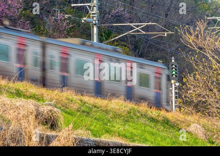 Subway train in motion, captured with a motion blur effect, traversing a spring vegetation landscape with blooming trees and lush greenery Stock Photo