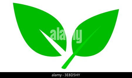 Simple green leaf icons representing nature ecology and environmental sustainability. Minimal flat vector style with two leaf variations. Eco branding Stock Vector