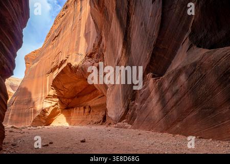 Majestic sandstone walls of Wire Pass slot canyon in Utah. Sunlight highlights the textured orange rock formations under a clear blue sky. Stock Photo