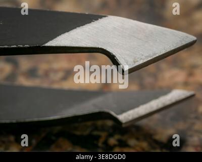 Macro view of the two-tone tips of a pair of metal tweezers, showing sharp brushed steel against a matte black coating and bokeh background Stock Photo