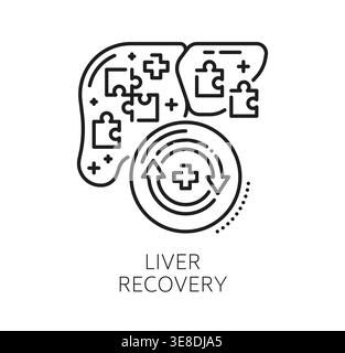 Chronic liver disease and therapy, medical line icon. Minimal vector black linear sign representing liver recovery. Outline liver with puzzle pieces, arrows in circular cycle and healthcare symbols Stock Vector