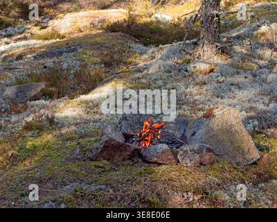 Campfire burning on forest ground in sunny outdoor setting Stock Photo