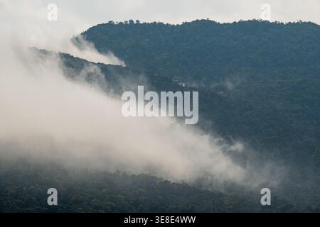 Misty air foggy clouds floating over covering lush tropical rainforest in mountain valley of Vietnam Stock Photo