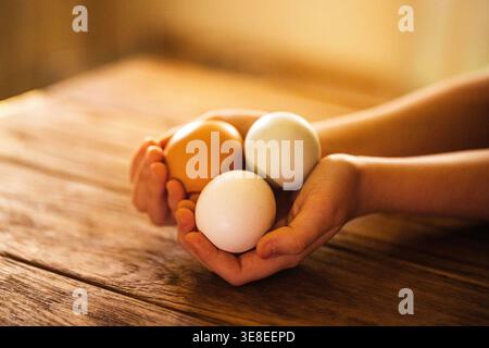 Hands grasp three eggs, one brown and two white, placed on a rustic wooden table with warm, natural lighting enhancing the texture Stock Photo