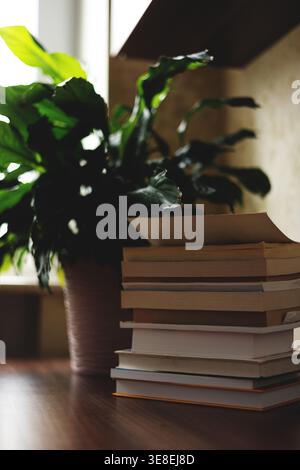 A stack of books and a flowerpot on a table. Modern interior Stock Photo