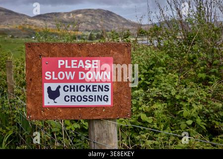 Kilchoan, Argyll and Bute, Scotland, UK. 2nd May 2025. A sign requesting drivers to slow down for crossing chickens Stock Photo