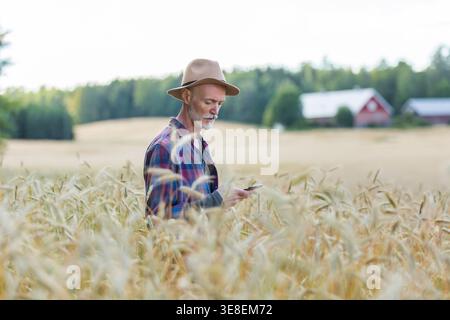 Mature male farmer in hat using smartphone in golden wheat field, precision agriculture technology, data driven farming, agri-tech, countryside, day Stock Photo