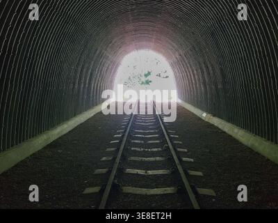 Tunnel leads to bright light at its end. Train tracks run straight through the dark passage. Concrete walls curve upward on both sides. Gravel lines t Stock Photo