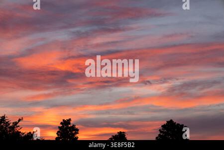 Colorful sunset sky with pink and orange clouds and subtle tree silhouettes at dusk in Myrtle Beach, South Carolina, USA Stock Photo