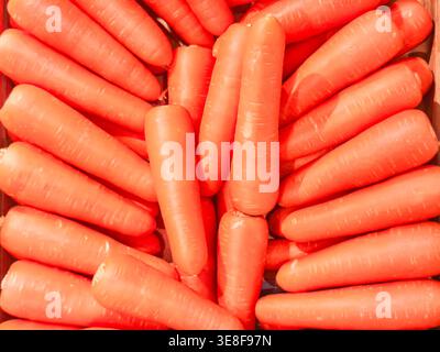 fresh raw orange carrots arranged in a pile. This vibrant display highlights the organic texture and smooth skin of healthy vegetables at a local mark Stock Photo