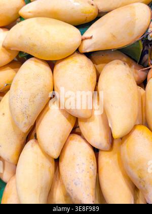 pile of fresh ripe yellow mangoes, showcasing smooth golden skin and organic texture. Perfect for healthy food backgrounds, tropical fruit themes, and Stock Photo