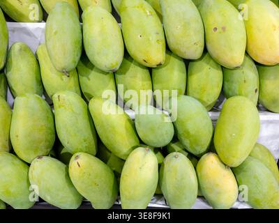 fresh green mangoes displayed at a tropical fruit market. This vibrant overhead shot highlights the smooth skin and organic texture of raw mangoes rea Stock Photo