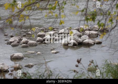 cluster of rocks, boulders in low river water seen through riverbank foliage Stock Photo