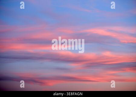 Beautiful sunset sky with soft pink and purple clouds on a blue background. Stock Photo