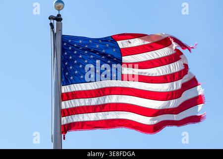 Close up of a tattered American Flag flying on a flag pole Stock Photo