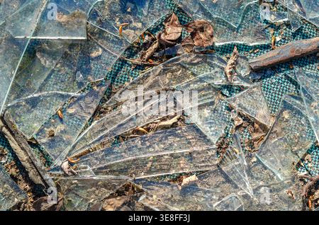 Broken glass pieces scattered on ground with dry leaves and dirt. Concept of danger, damage, environmental pollution and unsafe conditions. Stock Photo