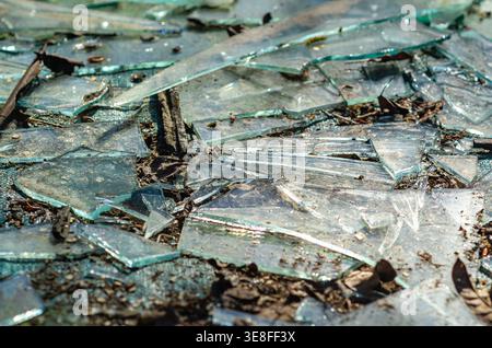 Broken glass pieces scattered on ground with dry leaves and dirt. Concept of danger, damage, environmental pollution and unsafe conditions. Stock Photo