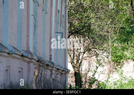 Crumbling walls and green foliage blend together in this captivating scene. Stock Photo