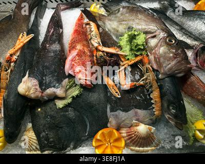 Fresh seafood assortment on ice with fish, lobster, shells and lemon in market display. Concept of gourmet food, freshness and restaurant supply. Stock Photo