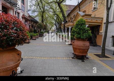 Charming Pedestrian Street Lined Potted Trees Stock Photo