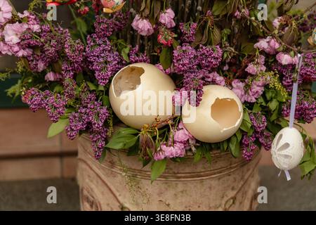 Broken Ostrich Eggshells Among Purple Spring Blossoms Stock Photo