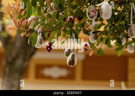 Decorated Easter Eggs Hanging Leafy Branches Stock Photo