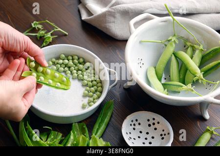 Anonymous person shelling fresh organic green peas into ceramic bowl on wooden table. Close-up shot features hands opening pea pod highlighting Stock Photo