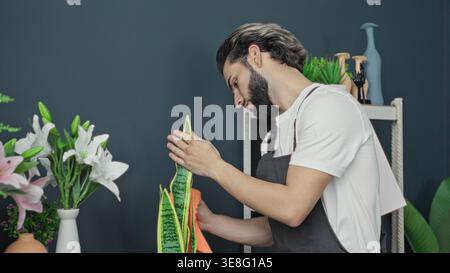 Young hispanic man florist wearing apron carefully wipes a snake plant leaf with an orange cloth beside lilies and ceramic vases in a floral studio; s Stock Photo