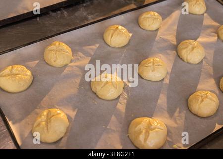 Metal tray lined with parchment paper holding scored dough buns shiny from eggwash on countertop Stock Photo