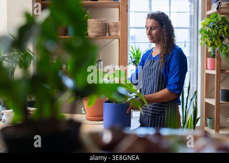 African American gardener standing at round table tending blue planter wearing striped apron Stock Photo