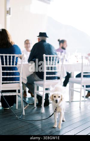 Laughter among friends in outdoor setting. An informal celebration with scenic mountain views Stock Photo