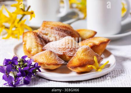 Classic madeleine cakes served with black coffee on a light table, decorated with blooming forsythia and violets. Elegant homemade pastry scene for br Stock Photo