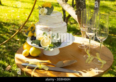 Two-tier white buttercream cake sitting on round wooden table in garden, beside champagne flutes Stock Photo