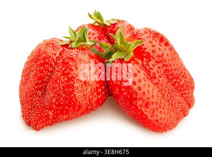 giant strawberry path isolated on white Stock Photo