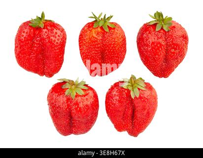 giant strawberry path isolated on white Stock Photo