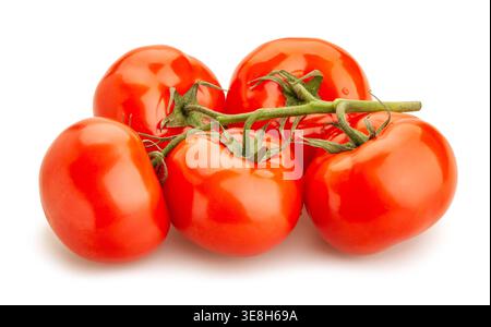 tomato branch path isolated on white Stock Photo