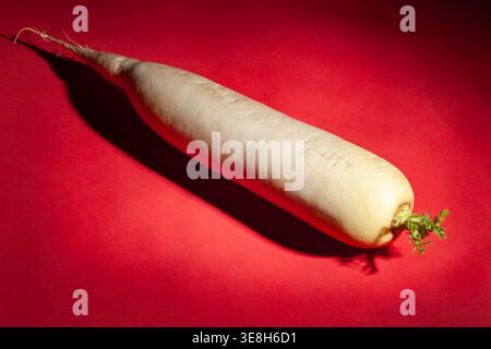 daikon radish on red background Stock Photo
