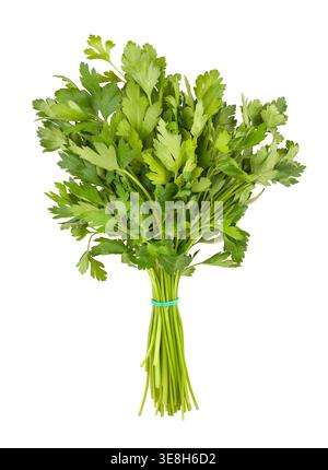 parsley path isolated on white Stock Photo