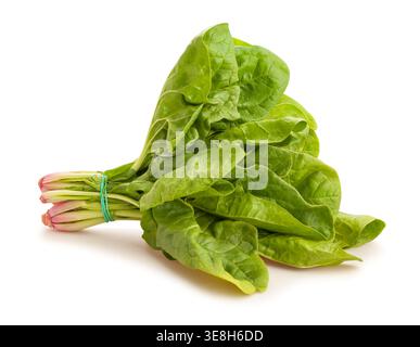 spinach path isolated on white Stock Photo