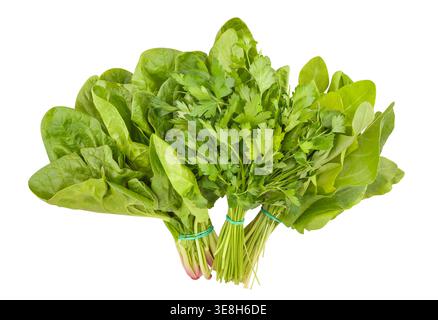 greens mix path isolated on white Stock Photo