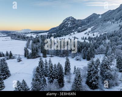 Aerial view of a snow-laden forest and mountains, the crisp white landscape contrasting with the deep greens of the trees, Schwangau, Bayern, Germany. Stock Photo
