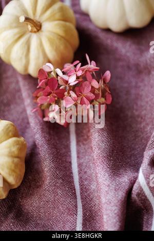 White pumpkins and floral arrangement for autumn decor Stock Photo